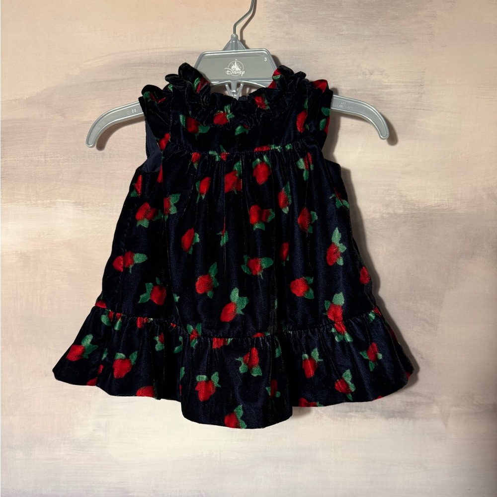 Janie‎ and Jack Navy Velvet Infant Dress with Red Rose Floral Design